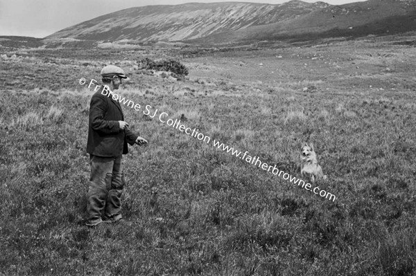 ON WAY TO NEWPORT RURAL SCENES MAN WITH DOG POSSIBLY SHEEPDOG